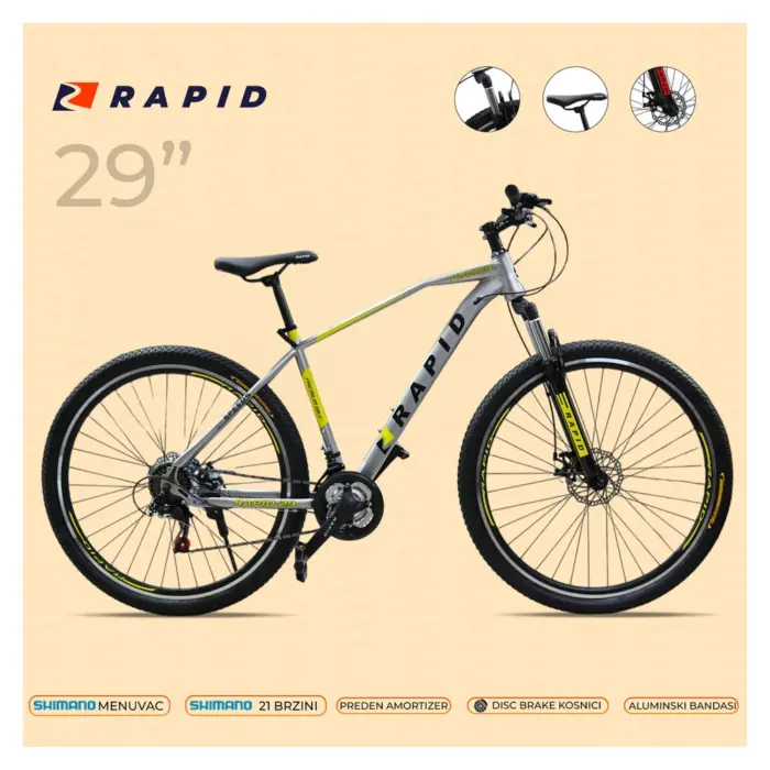 Bicycle Rapid 29 Planner Silver