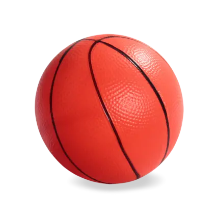 Football/Basketball Set