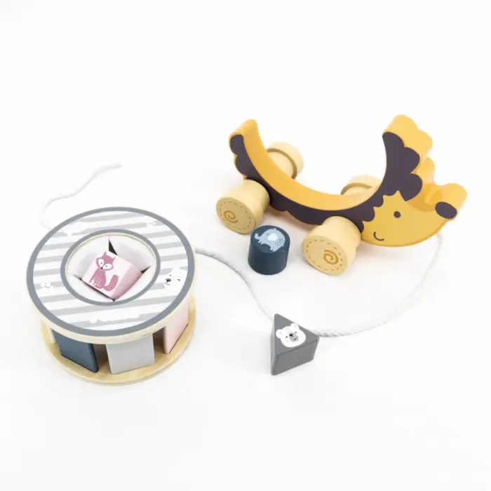 PolarB – Hedgehog with Sorting Wheel 44025