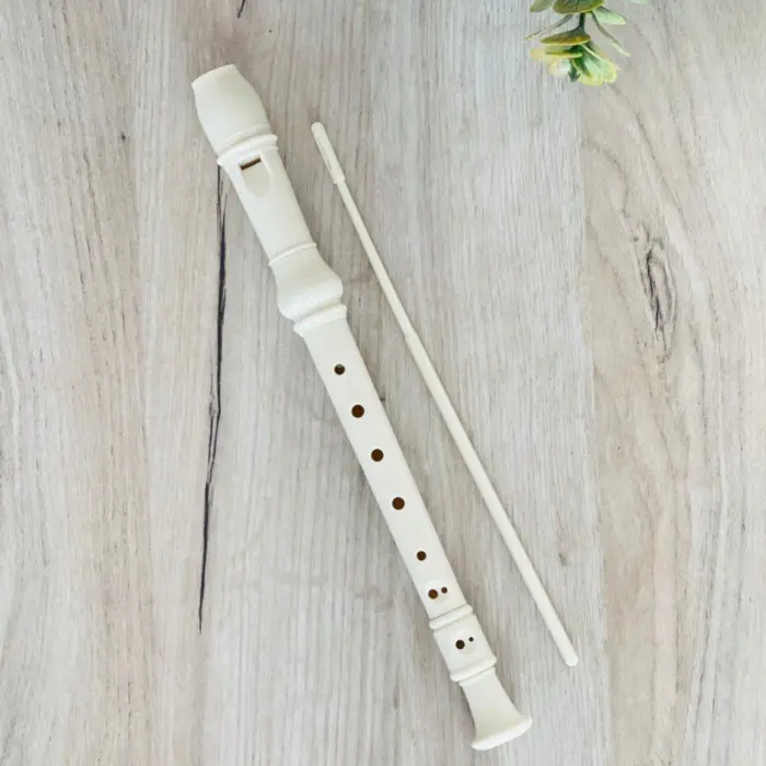 Flaut blok për fillestarë me shkop pastrimi dhe këllëf, 32 cm