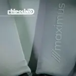 Maximus Car Seat- Macadamia