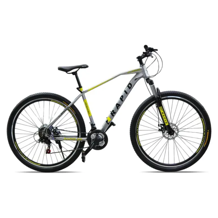 Bicycle Rapid 29 Planner Silver
