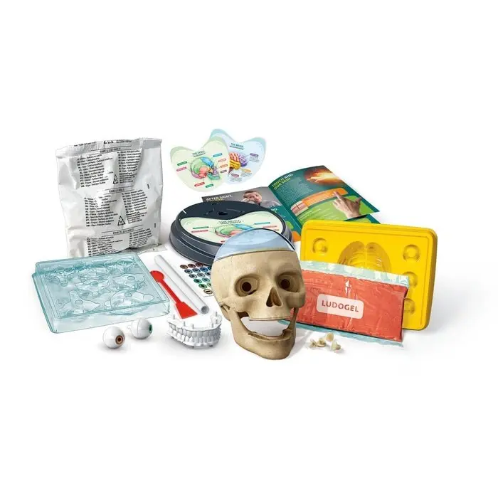 Clementoni Научен сет Science & Play Crazy Anatomy, череп за склопување – слика 3