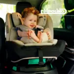 Olympus Car Seat- Obsidian