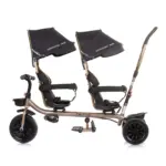 Twin tricycle- Hip Hop Ebony