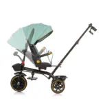 Tricycle with Canopy - Max Sport Green