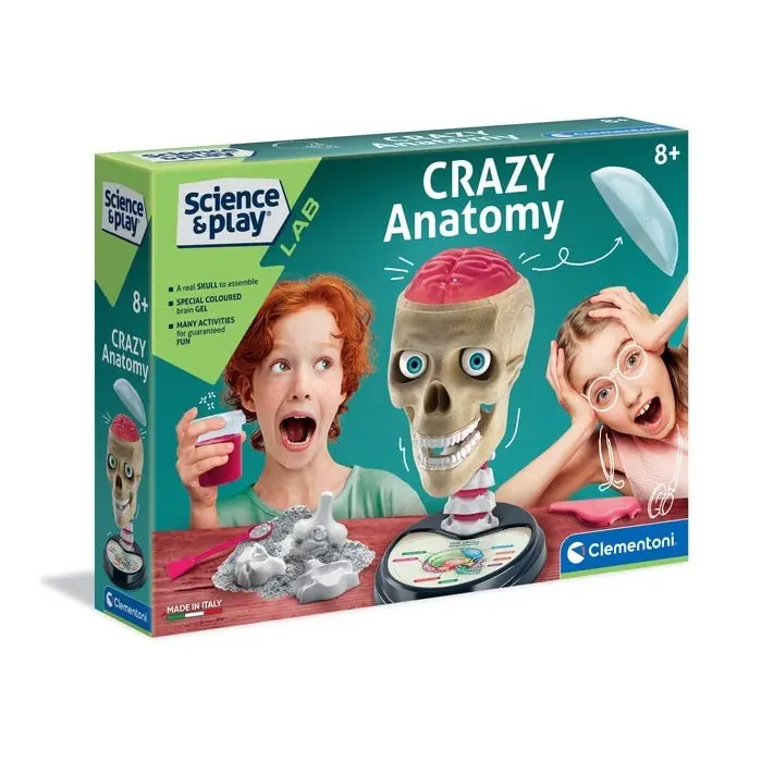 Clementoni Научен сет Science & Play Crazy Anatomy, череп за склопување – слика 2