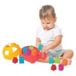 DEDE Baby turtle sorter, 03450