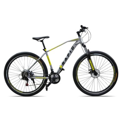 Bicycle Rapid 29 Planner Silver