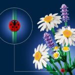 LEGO® Botanicals Маргаритки (11508) – слика 4