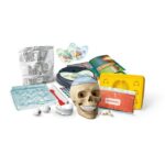 Clementoni Научен сет Science & Play Crazy Anatomy, череп за склопување – слика 3