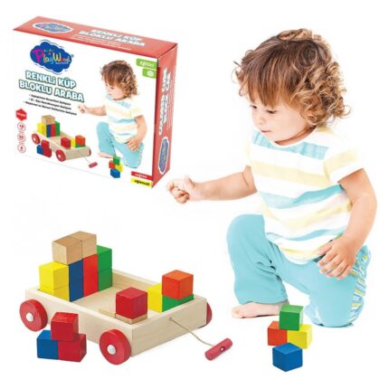 PlayWood Karrocë druri me tërheqje me 25 kuba shumëngjyrëshe